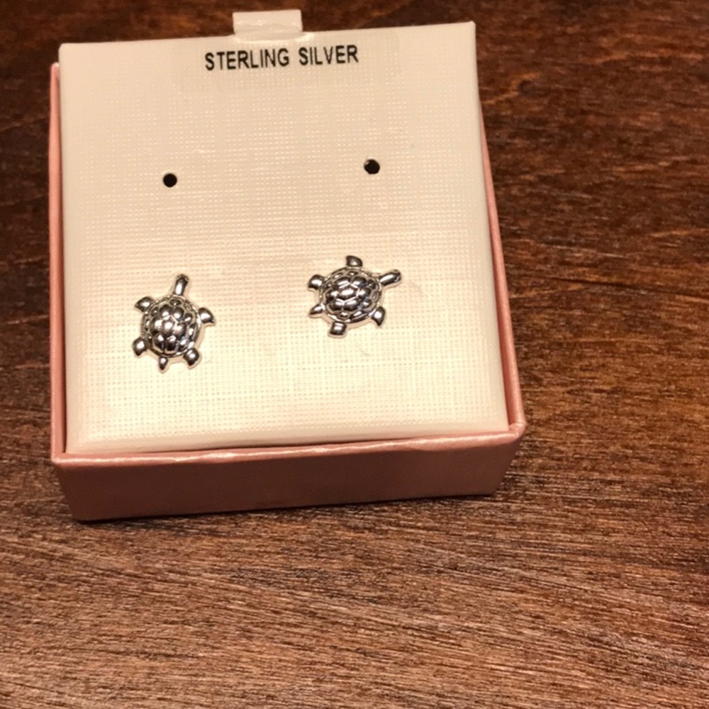 Girl’s Pierced Turtle Earring